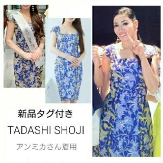 タダシショウジ(TADASHI SHOJI)の新品 TADASHI SHOJI 刺繍 フラワーレースドレス アンミカ(ひざ丈ワンピース)