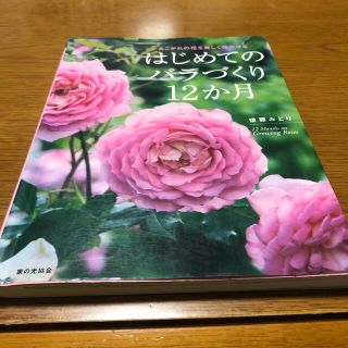 はじめてのバラづくり１２か月 あこがれの花を美しく咲かせる(趣味/スポーツ/実用)