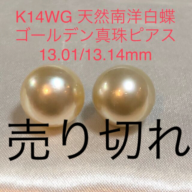 K14WG 天然南洋白蝶ゴールデン真珠ピアス　13mmupピアス