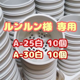 プラ鉢2.5号鉢【A-25】10個 他 スリット鉢 丸 プレステラ 多肉植物(プランター)