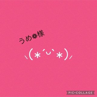 ☆うめ❁様専用☆　オーダー1点(その他)