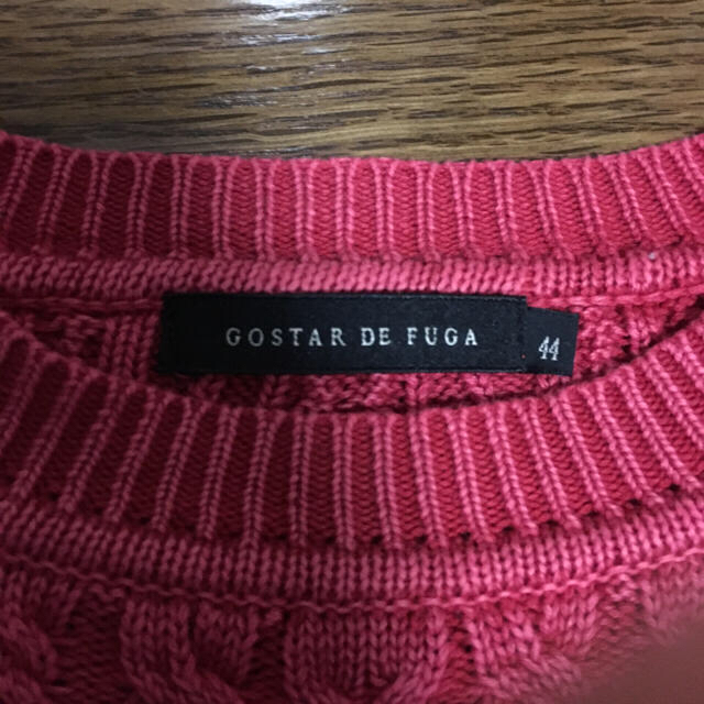 GOSTAR DE FUGAのニット レディースのトップス(ニット/セーター)の商品写真