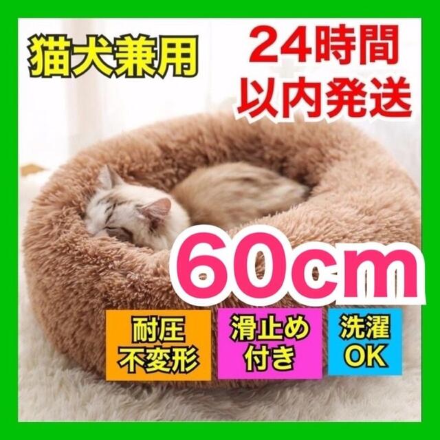 【アプリコット1点、ディープグレー1点】ペット用 クッション 60cm 猫