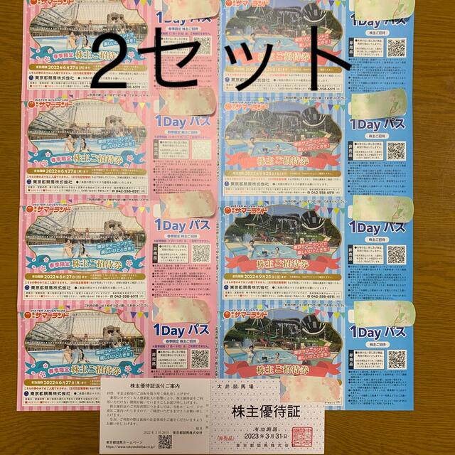 東京サマーランド　パスポート　2セット施設利用券