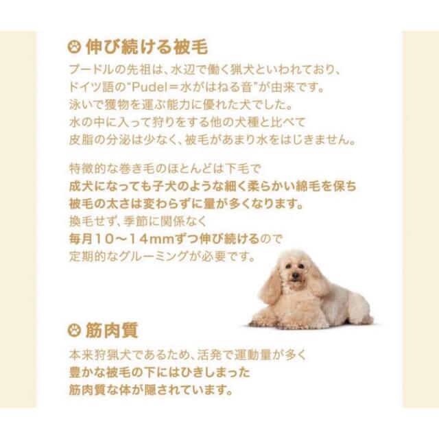 ロイヤルカナン トイプードル ドライフード 成犬 7.5kg×2袋 | www