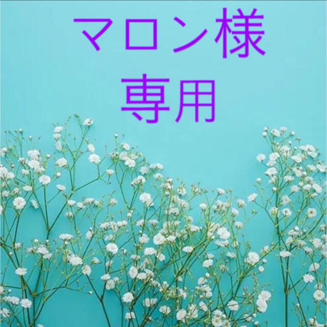 マロン様 専用 フコイダン2個セット 超可爱 8428円引き stockshoes.co