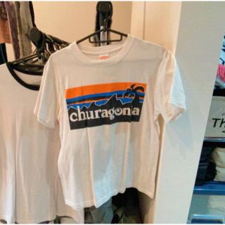 パタゴニア(patagonia)のPatagonia Tシャツ 半袖(Tシャツ(半袖/袖なし))