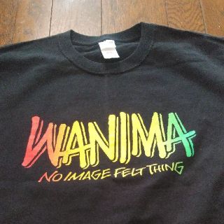 ワニマ(WANIMA)のWANIMA　pizza of death ワニマ　Tシャツ　XL(ミュージシャン)