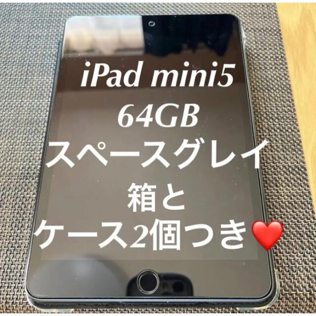 美品 iPad mini 5 64GB Wi-Fi スペースグレイ +高級カバー