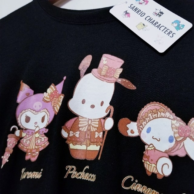 サンリオ(サンリオ)のSANRIO　クロミちゃん ポチャッコ シナモロール ロンT  長袖  Lサイズ レディースのトップス(Tシャツ(長袖/七分))の商品写真