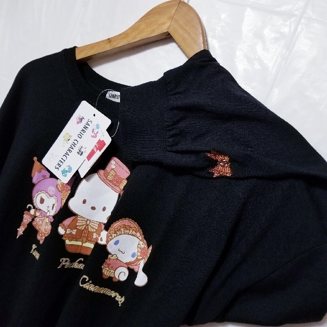 サンリオ(サンリオ)のSANRIO　クロミちゃん ポチャッコ シナモロール ロンT  長袖  Lサイズ レディースのトップス(Tシャツ(長袖/七分))の商品写真