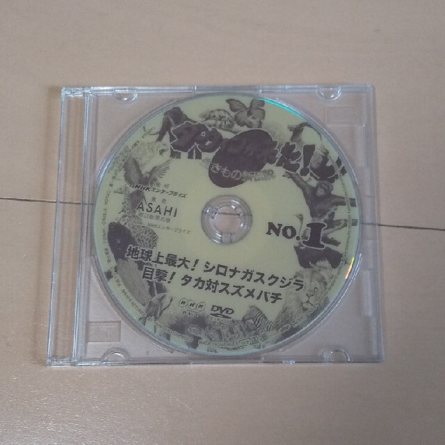 朝日新聞出版(アサヒシンブンシュッパン)のダーウィンが来た! DVD 5枚セット エンタメ/ホビーのDVD/ブルーレイ(ドキュメンタリー)の商品写真