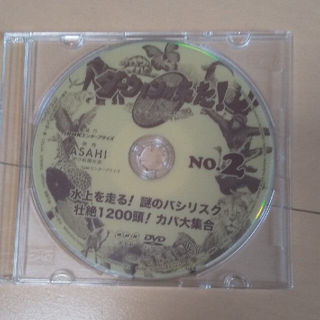 朝日新聞出版(アサヒシンブンシュッパン)のダーウィンが来た! DVD 5枚セット エンタメ/ホビーのDVD/ブルーレイ(ドキュメンタリー)の商品写真