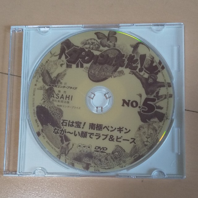 朝日新聞出版(アサヒシンブンシュッパン)のダーウィンが来た! DVD 5枚セット エンタメ/ホビーのDVD/ブルーレイ(ドキュメンタリー)の商品写真