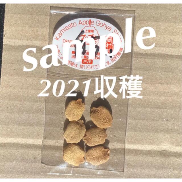 22403-61【種白5】上里岡村農園寅さんのアップルゴーヤ白秀のたね5粒 食品/飲料/酒の食品(野菜)の商品写真