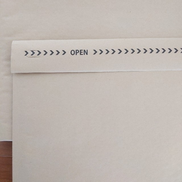薄型クッション封筒10枚ネコポス最大305×220 インテリア/住まい/日用品のオフィス用品(ラッピング/包装)の商品写真