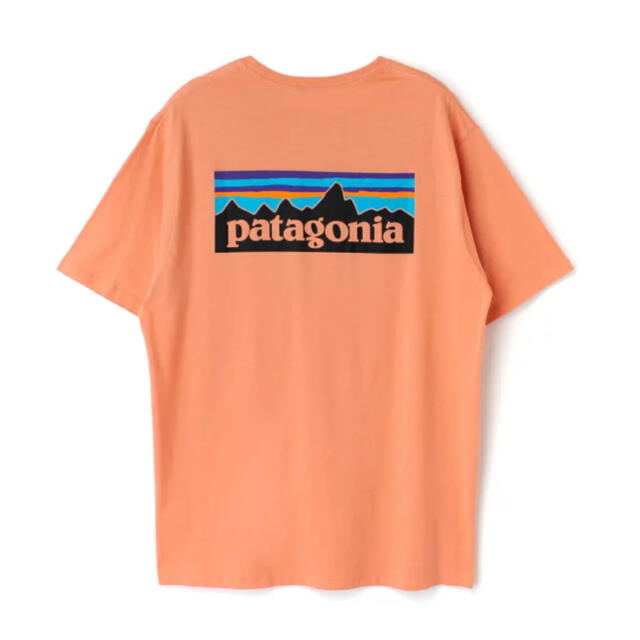 patagonia(パタゴニア)のパタゴニア　半袖　オレンジ レディースのトップス(Tシャツ(半袖/袖なし))の商品写真