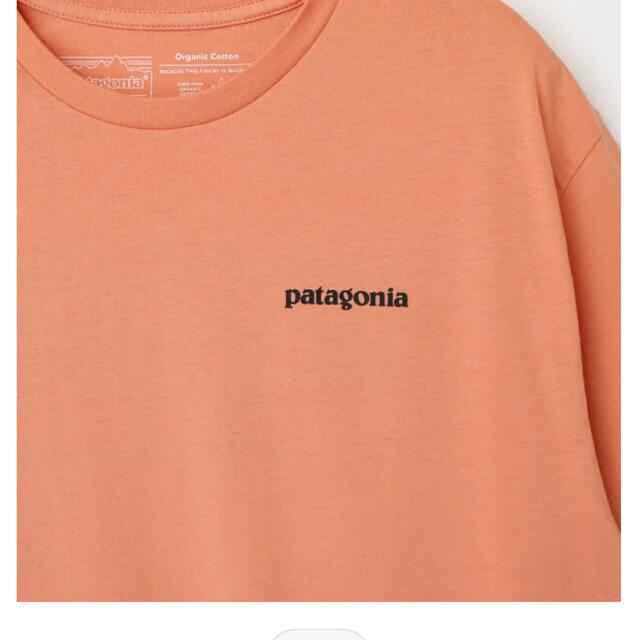 patagonia(パタゴニア)のパタゴニア　半袖　オレンジ レディースのトップス(Tシャツ(半袖/袖なし))の商品写真