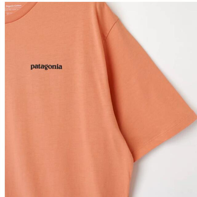 patagonia(パタゴニア)のパタゴニア　半袖　オレンジ レディースのトップス(Tシャツ(半袖/袖なし))の商品写真