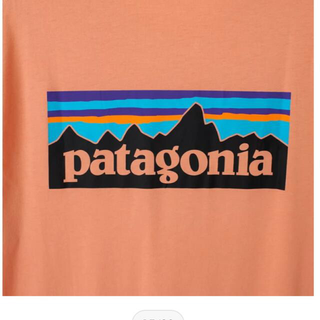 patagonia(パタゴニア)のパタゴニア　半袖　オレンジ レディースのトップス(Tシャツ(半袖/袖なし))の商品写真