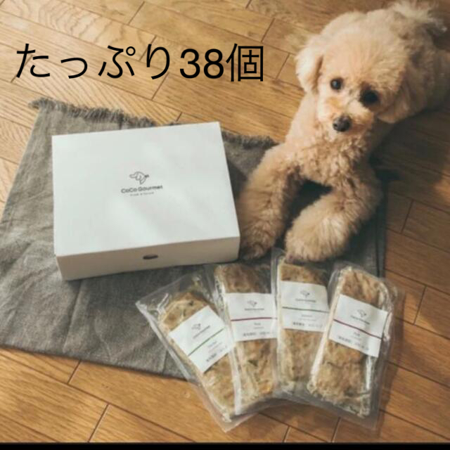 AZアゼットパピー子犬用 10kgブリーダーパック✖️2袋 www