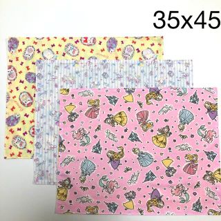 大きめナフキン 3枚 ⑪☆ プリンセス ユニコーン(外出用品)