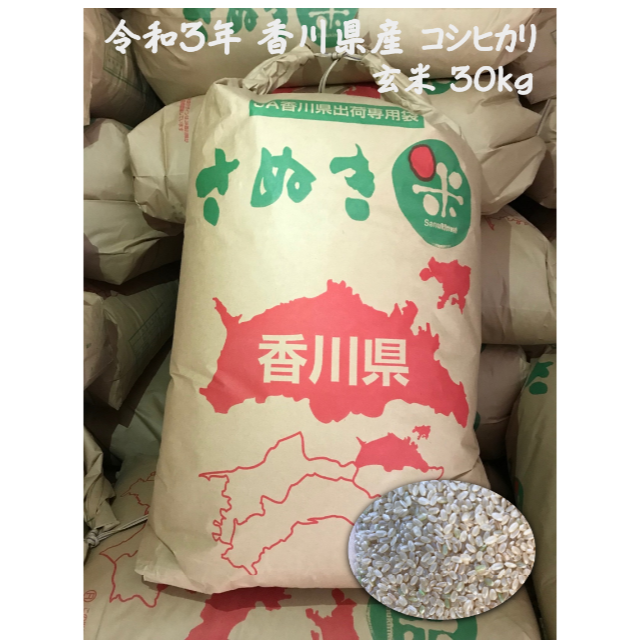 米/穀物令和3年 香川県産コシヒカリ 玄米30kg