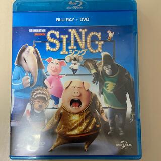 SING／シング　ブルーレイ＋DVDセット Blu-ray(アニメ)
