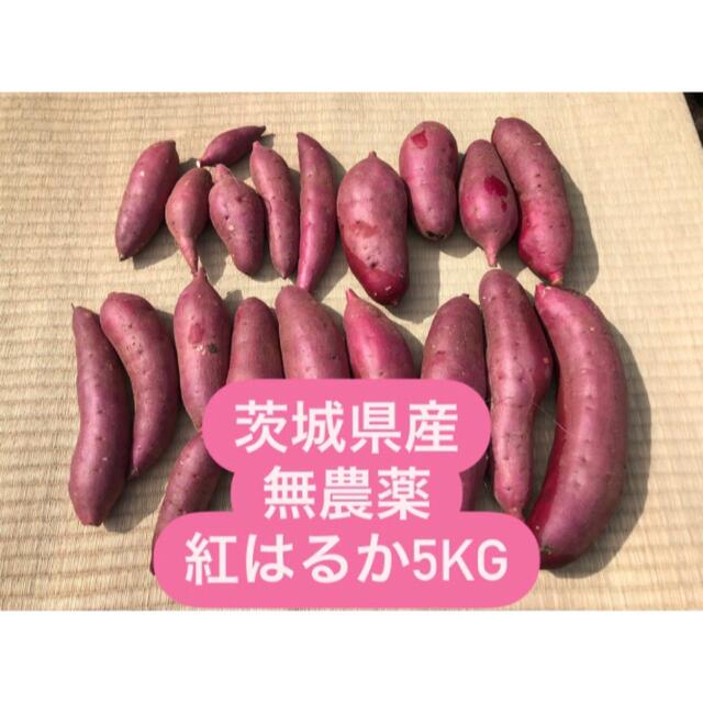 【訳あり】茨城県産無農薬さつまいも紅はるか5kg 食品/飲料/酒の食品(野菜)の商品写真