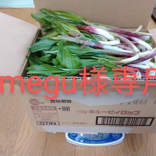 megu様専用　奥尻産天然行者ニンニク3kg(野菜)