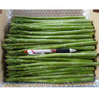 細アスパラガス 1kg 新鮮野菜(野菜)