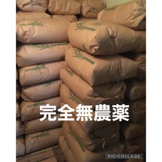 あきたこまち 10kg ※ 無農薬玄米 国消国産 農家直送 美容健康 即日配送即日配送