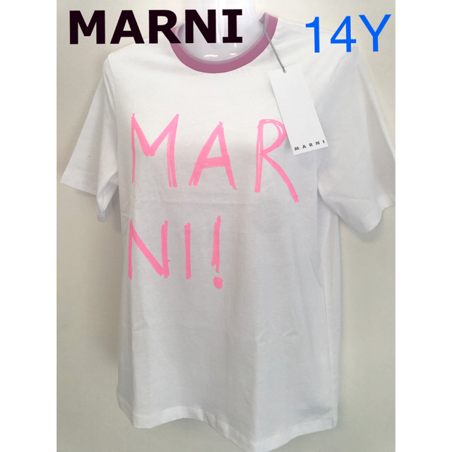 MARNI  Tシャツ 手書き風ロゴプリント　新品未使用　マルニ　14Y