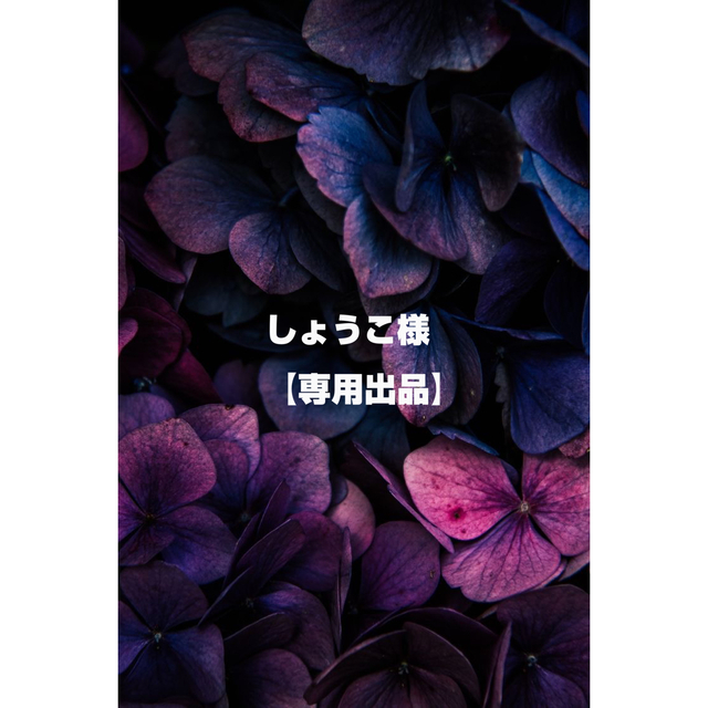 プルエスト カプセルハイドロクレンズ 2本セット