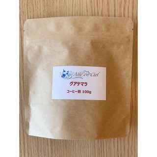 【コーヒー生豆 グアテマラ100g】保存バッグ入 長期保存可能(コーヒー)