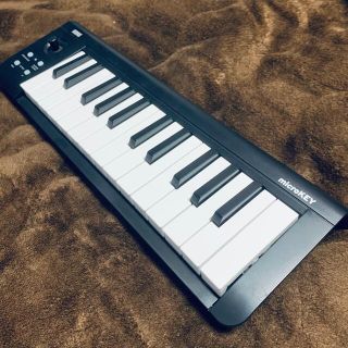 コルグ(KORG)のKORG microKEY MICROKEY-25(MIDIコントローラー)