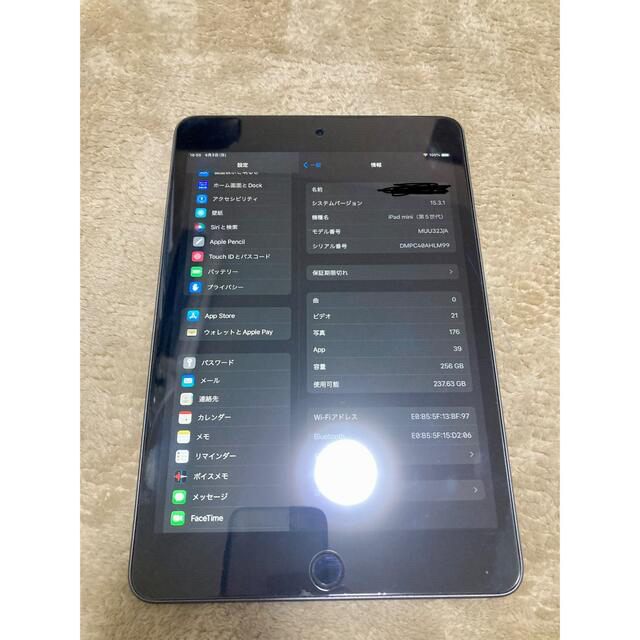 スマホ/家電/カメラアップル iPad mini 第5世代 WiFi 256GB