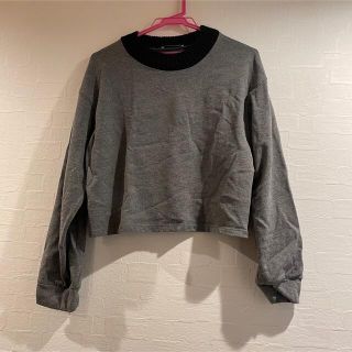 ザラ(ZARA)のZARA ニット　カットソー(カットソー(長袖/七分))