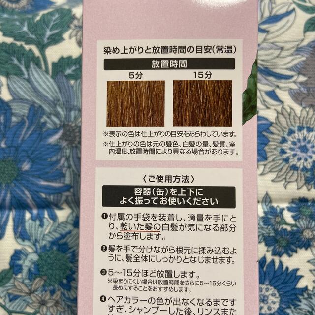 FUTURA LABORATORIES(フューチュララボラトリーズ)のヘアボーテ　エクラ　ボタニカル　エアカラーフォーム　ライトブラウン コスメ/美容のヘアケア/スタイリング(白髪染め)の商品写真