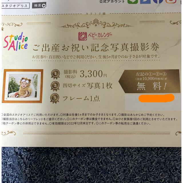 【10,900円相当】スタジオアリス　記念撮影無料券 チケットの優待券/割引券(その他)の商品写真