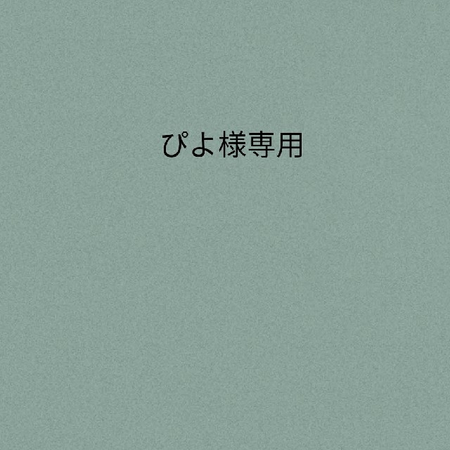 ぴよ様専用 www.termasbryant.com