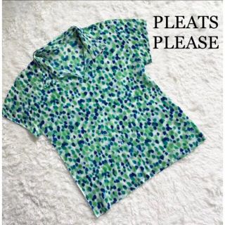 プリーツプリーズイッセイミヤケ(PLEATS PLEASE ISSEY MIYAKE)のプリーツプリーズ　プリーツカットソー　半袖　襟付き　総柄(カットソー(半袖/袖なし))