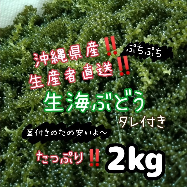 沖縄県産 海ぶどう 茎付き2000ｇ“ 商品の説明⚠️必読⚠️食物繊維