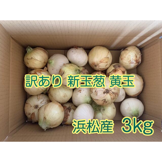 #6  訳あり 新玉葱 新玉ねぎ 黄玉 静岡県浜松産3kg(野菜)