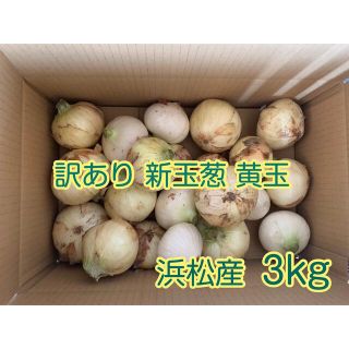 #6  訳あり 新玉葱 新玉ねぎ 黄玉 静岡県浜松産3kg(野菜)