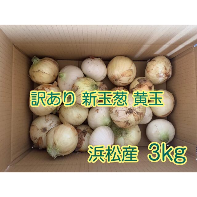 #2 訳あり 新玉葱 新玉ねぎ 黄玉 静岡県浜松産3kg 食品/飲料/酒の食品(野菜)の商品写真