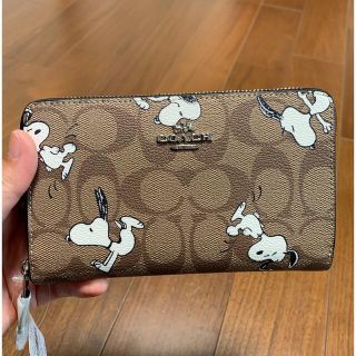 コーチ(COACH)の箱付き　4123 長財布　ブラウンシグネチャー　スヌーピーコラボ(財布)