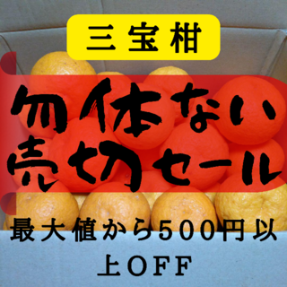 R23 訳ありみかん 和歌山県産 三宝柑　農家直送　ご家庭用 8kg(フルーツ)
