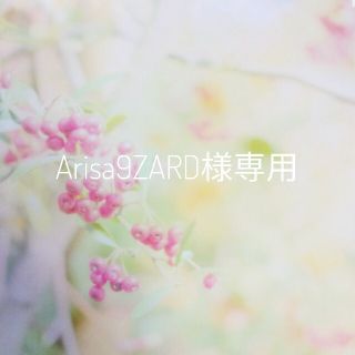 Arisa9ZARD様専用(ピアス)