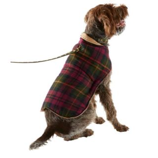 エルエルビーン(L.L.Bean)のエルエルビーン　犬用コート　リバーシブル(犬)